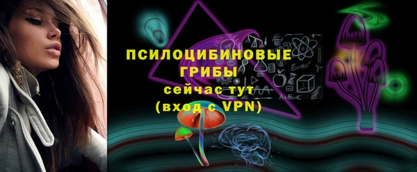 СК Белокуриха