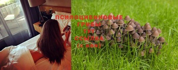 синтетический гашиш Белоозёрский
