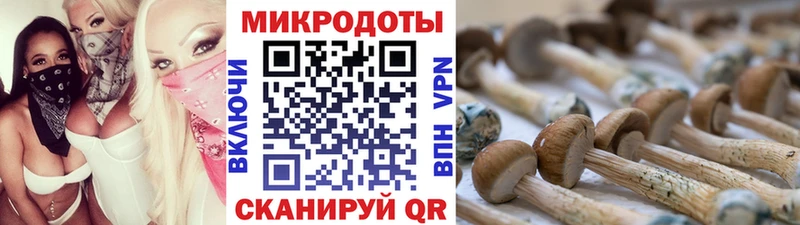 hydra ТОР  купить наркотик  Щёкино  Галлюциногенные грибы мухоморы 